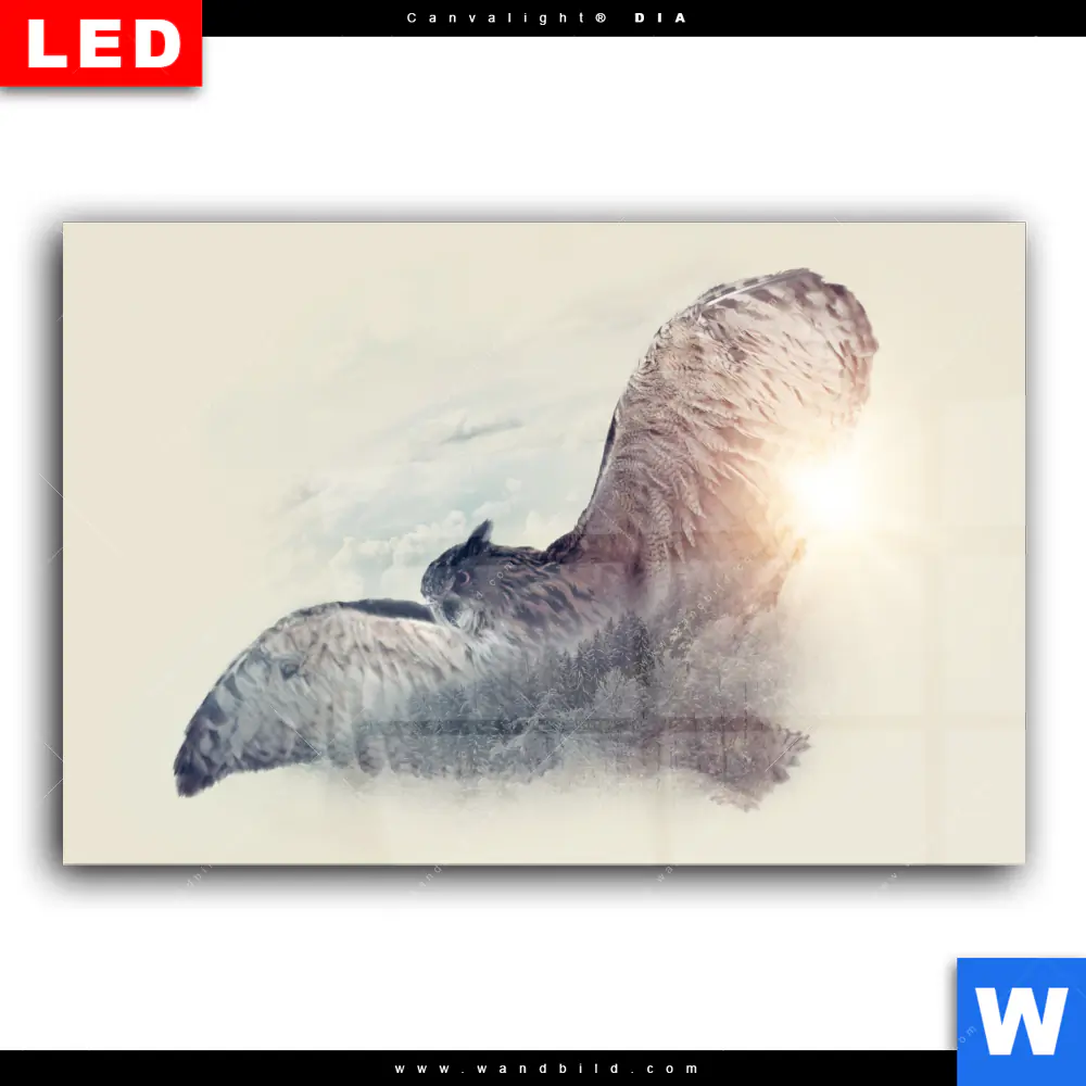 Wechselmotiv Acrylglas Canvalight® DIA | Eule & Wald No.2 | Querformat - Image 2