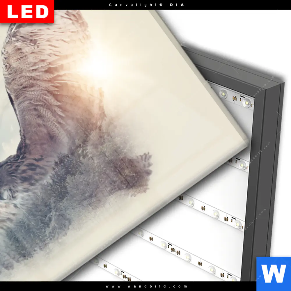 Wechselmotiv Acrylglas Canvalight® DIA | Eule & Wald No.2 | Querformat - Image 3