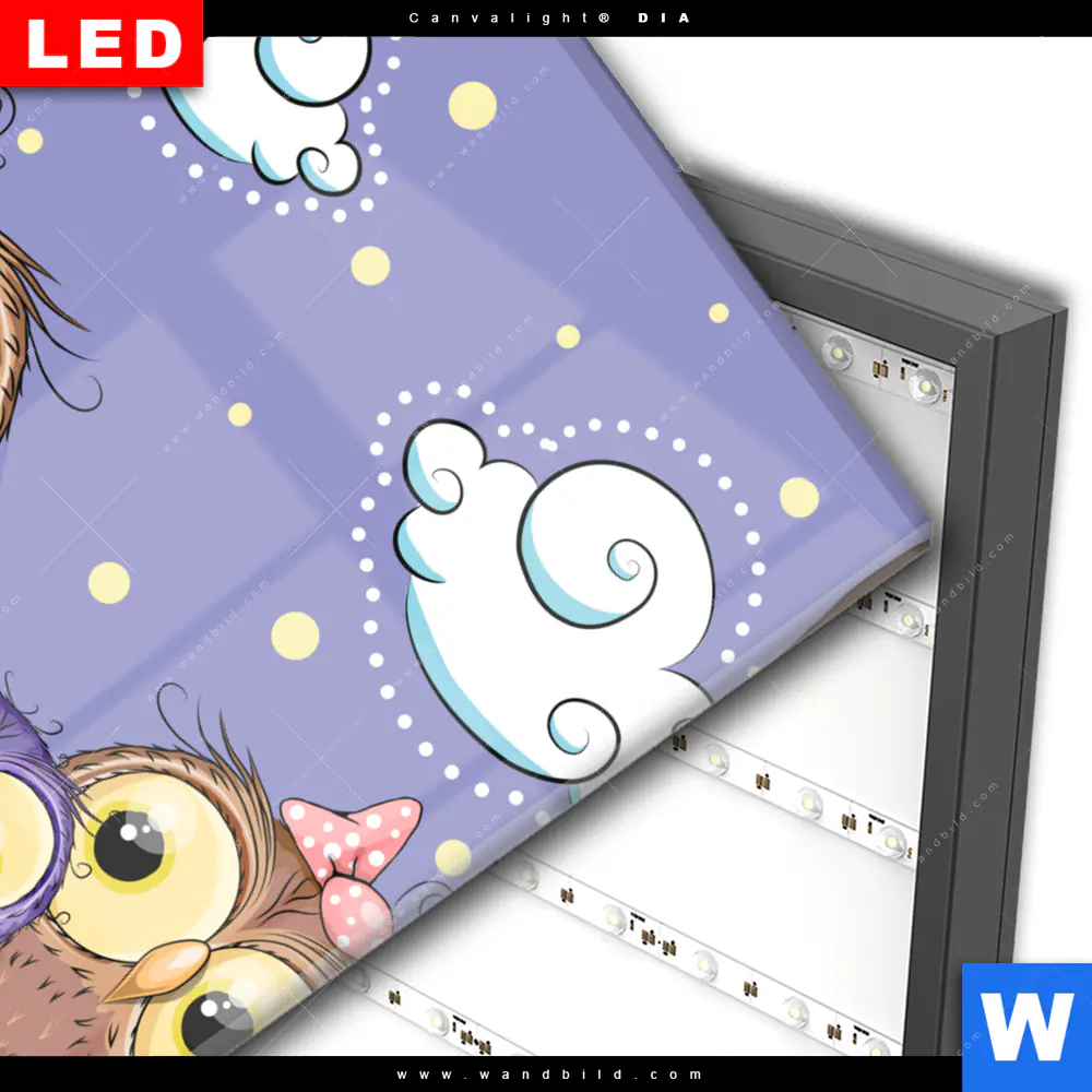 Wechselmotiv Acrylglas Canvalight® DIA | Eulenfamilie | Hochformat - Image 3