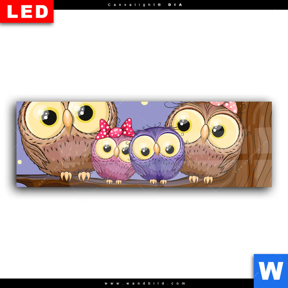 Wechselmotiv Acrylglas Canvalight® DIA | Eulenfamilie | Panorama - Image 2