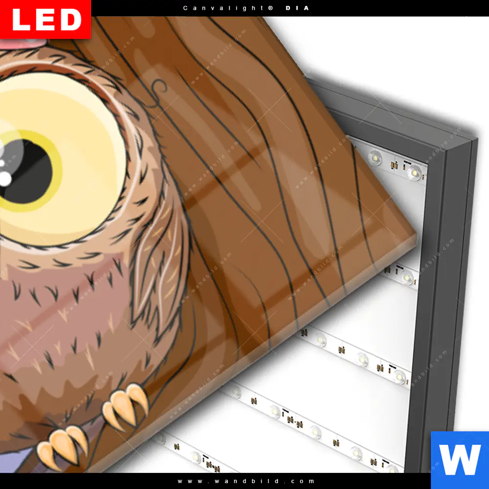 Wechselmotiv Acrylglas Canvalight® DIA | Eulenfamilie | Panorama - Image 3