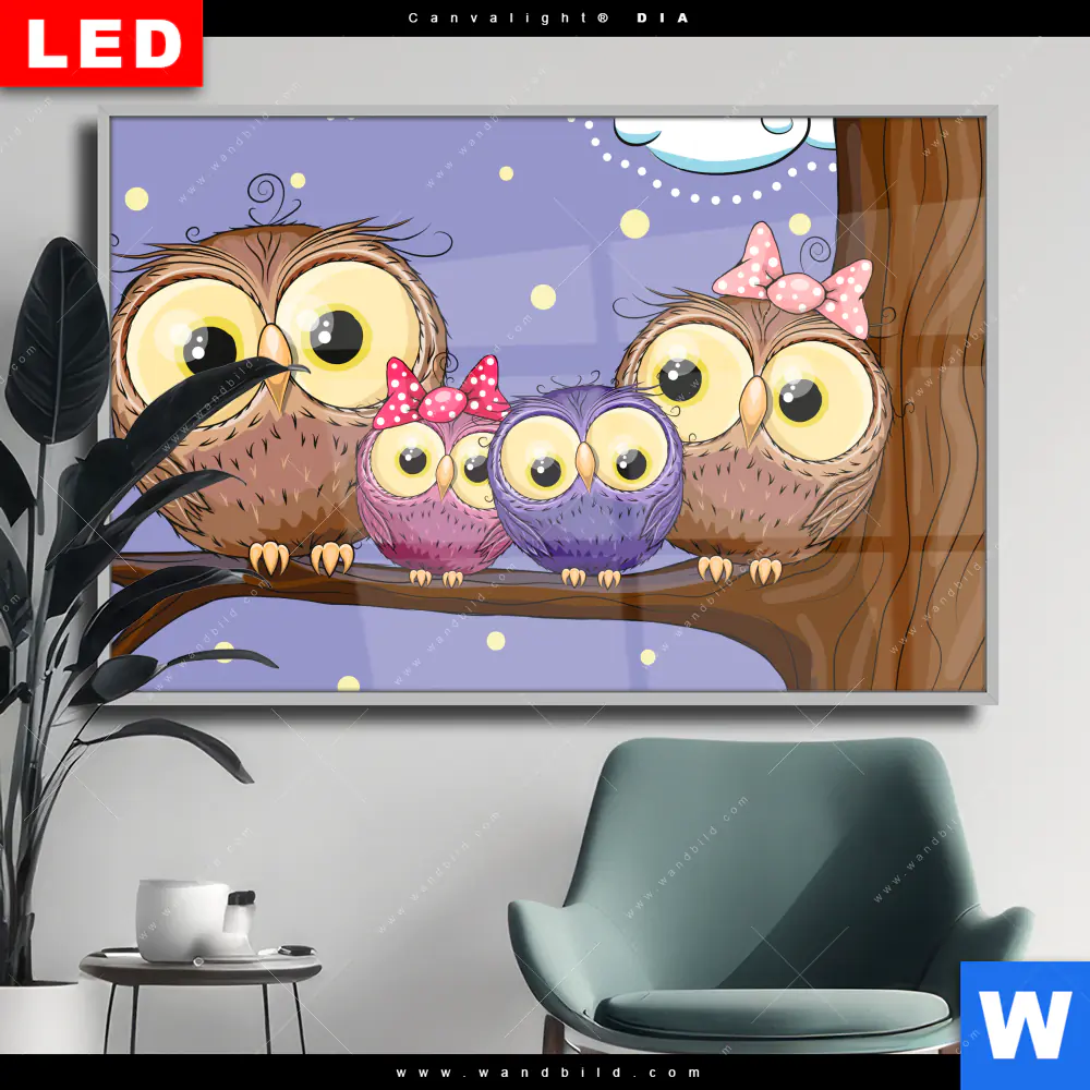 Wechselmotiv Acrylglas Canvalight® DIA | Eulenfamilie | Querformat