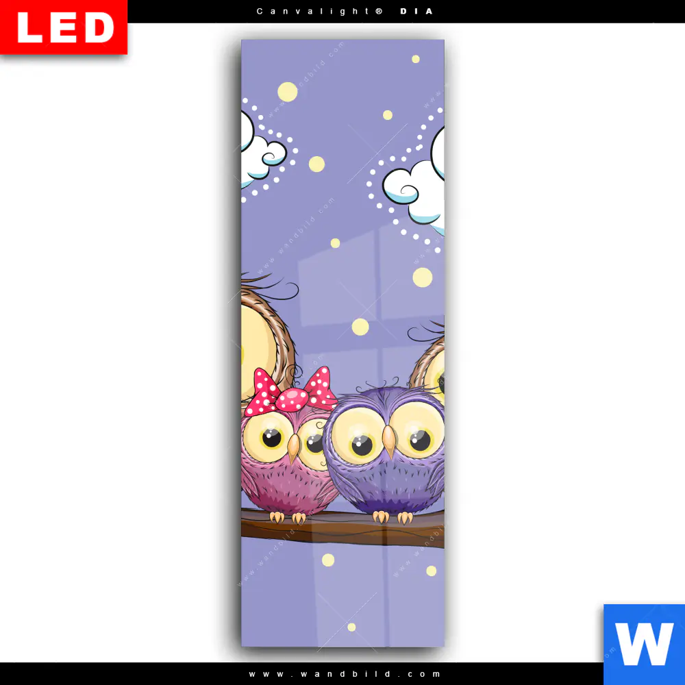 Wechselmotiv Acrylglas Canvalight® DIA | Eulenfamilie | Schmal - Image 2