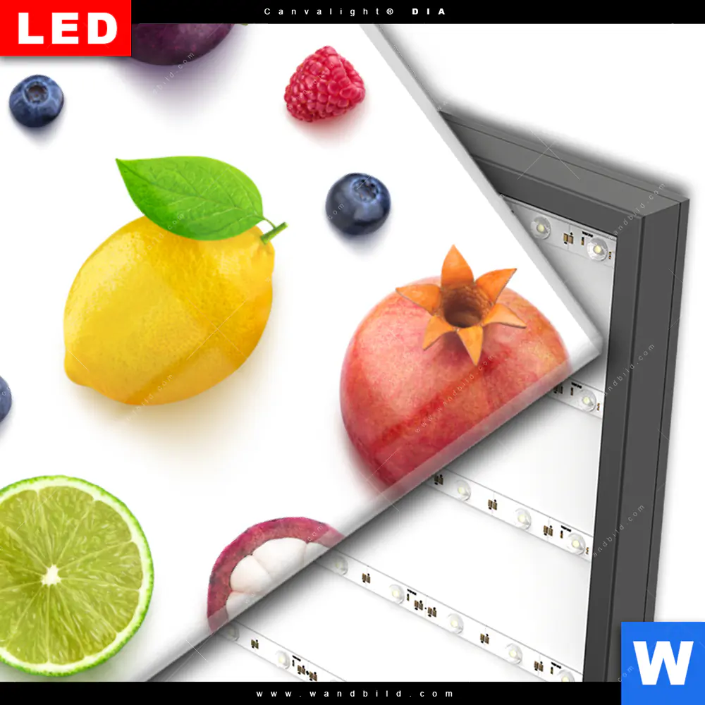 Wechselmotiv Acrylglas Canvalight® DIA | Exotische Früchte | Quadrat - Image 3