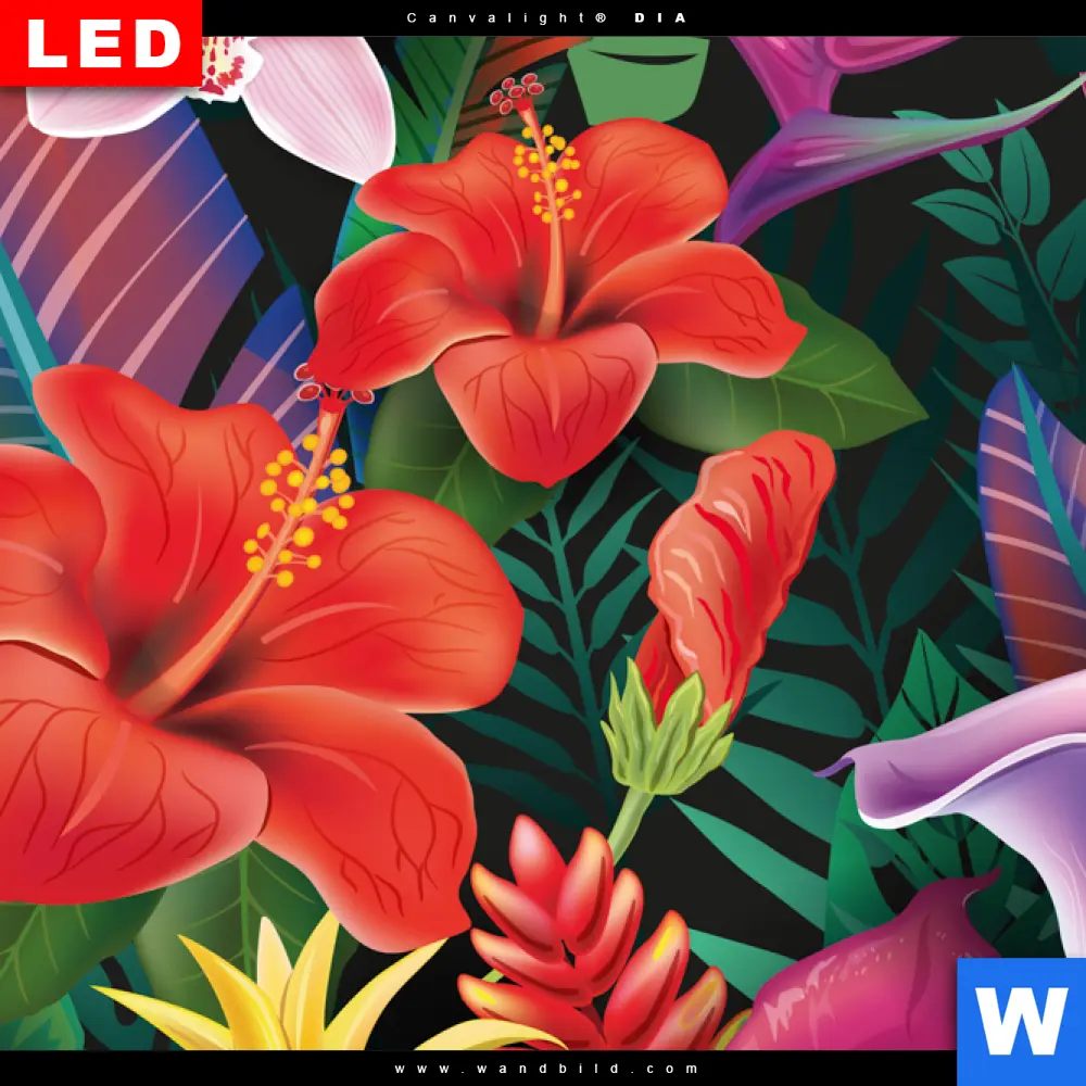 Wechselmotiv Acrylglas Canvalight® DIA | Exotische Tropenpflanzen | Quadrat - Image 4