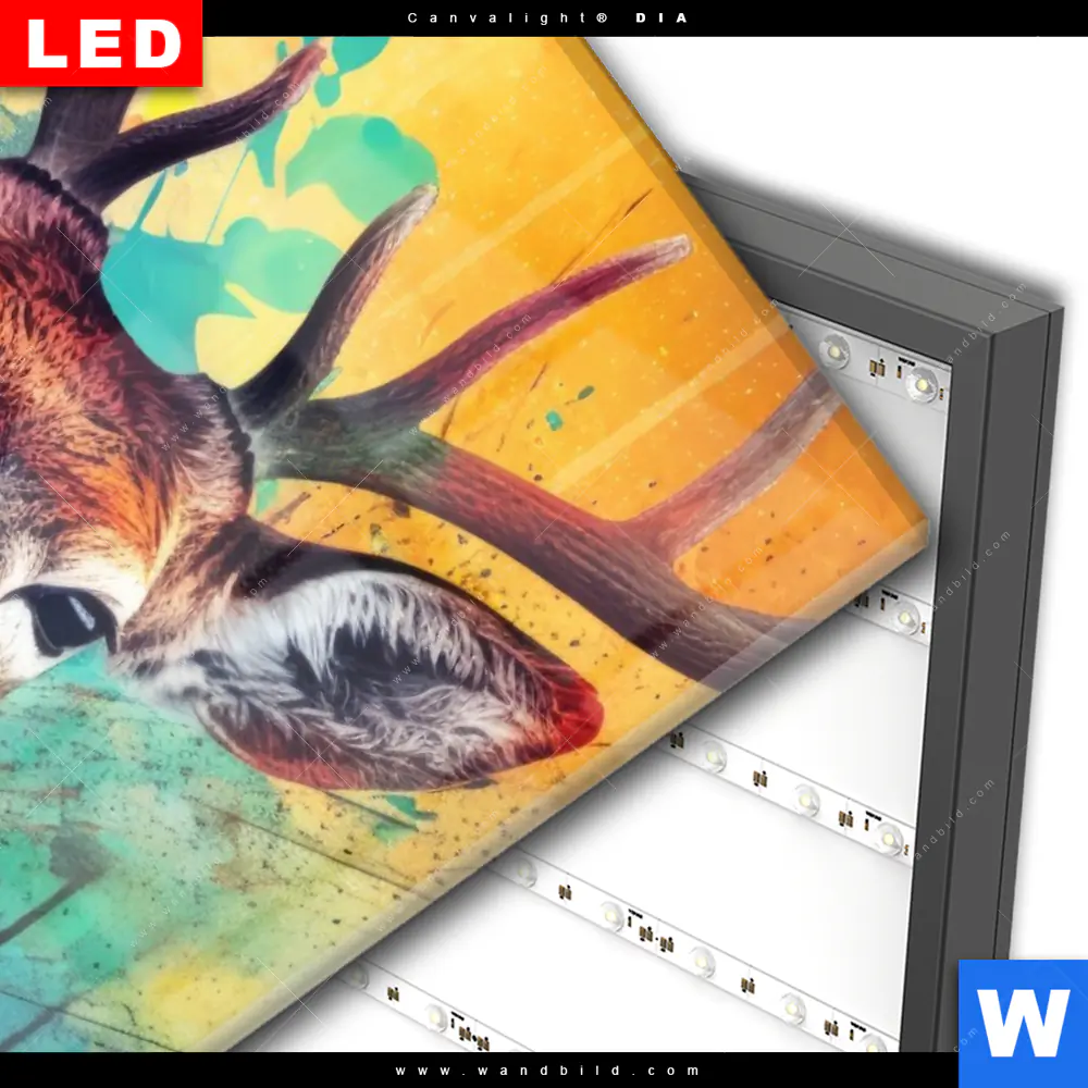Wechselmotiv Acrylglas Canvalight® DIA | Farbenfrohes Hirschporträt | Hochformat - Image 3