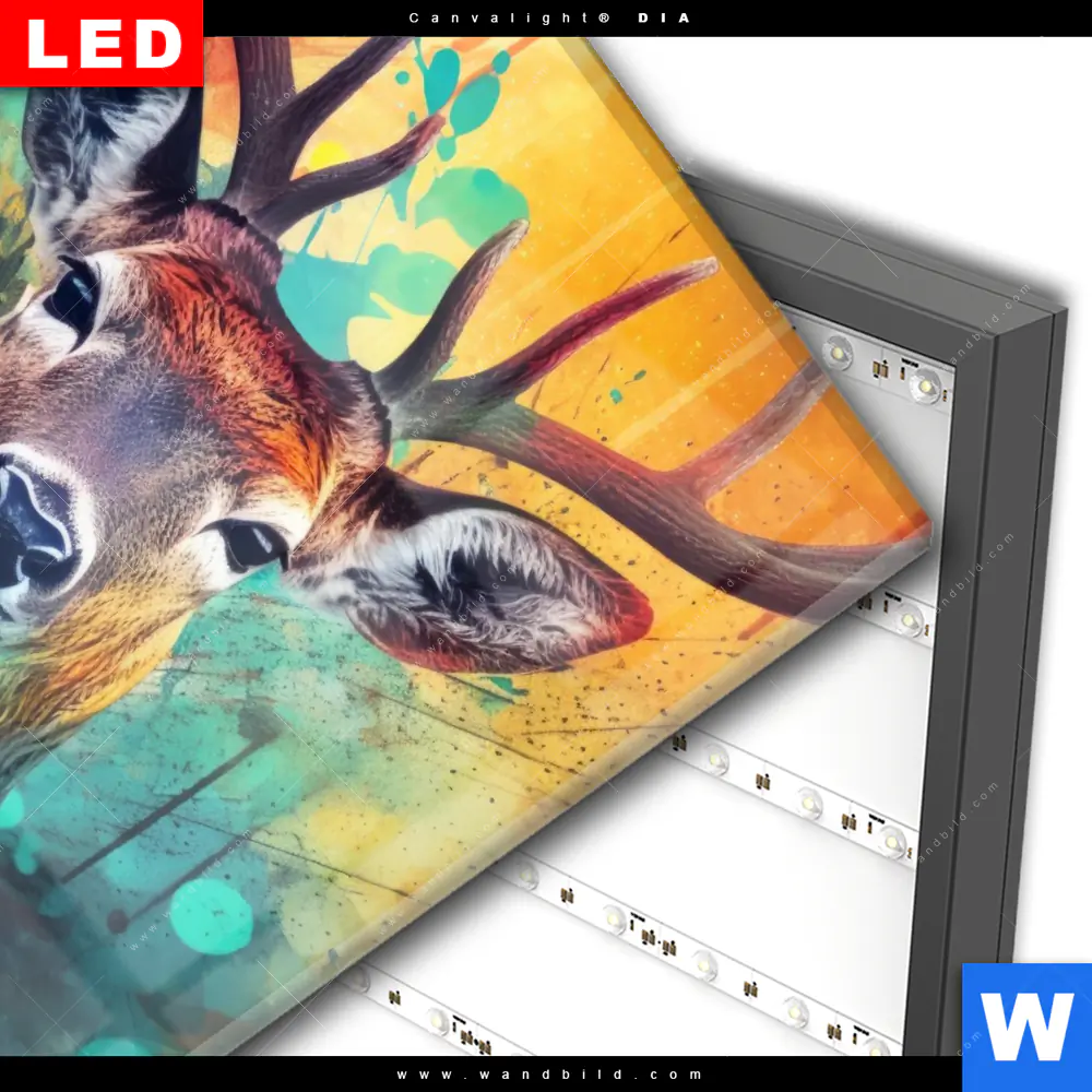 Wechselmotiv Acrylglas Canvalight® DIA | Farbenfrohes Hirschporträt | Quadrat - Image 3