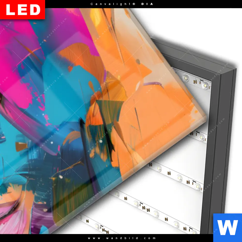 Wechselmotiv Acrylglas Canvalight® DIA | Farbexplosion - Porträt Lola | Panorama - Image 3