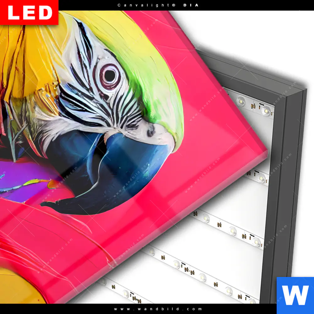 Wechselmotiv Acrylglas Canvalight® DIA | Federn Papagei | Hochformat - Image 3