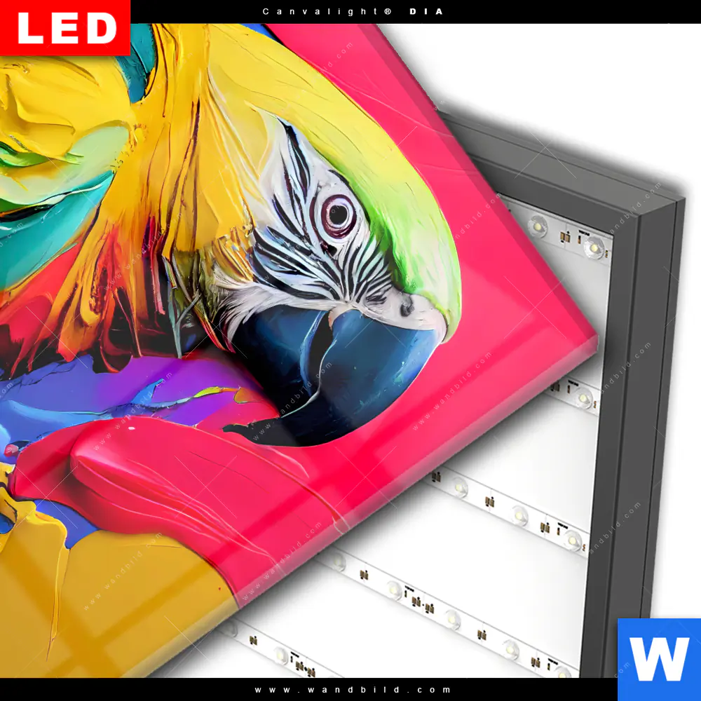 Wechselmotiv Acrylglas Canvalight® DIA | Federn Papagei | Quadrat - Image 3