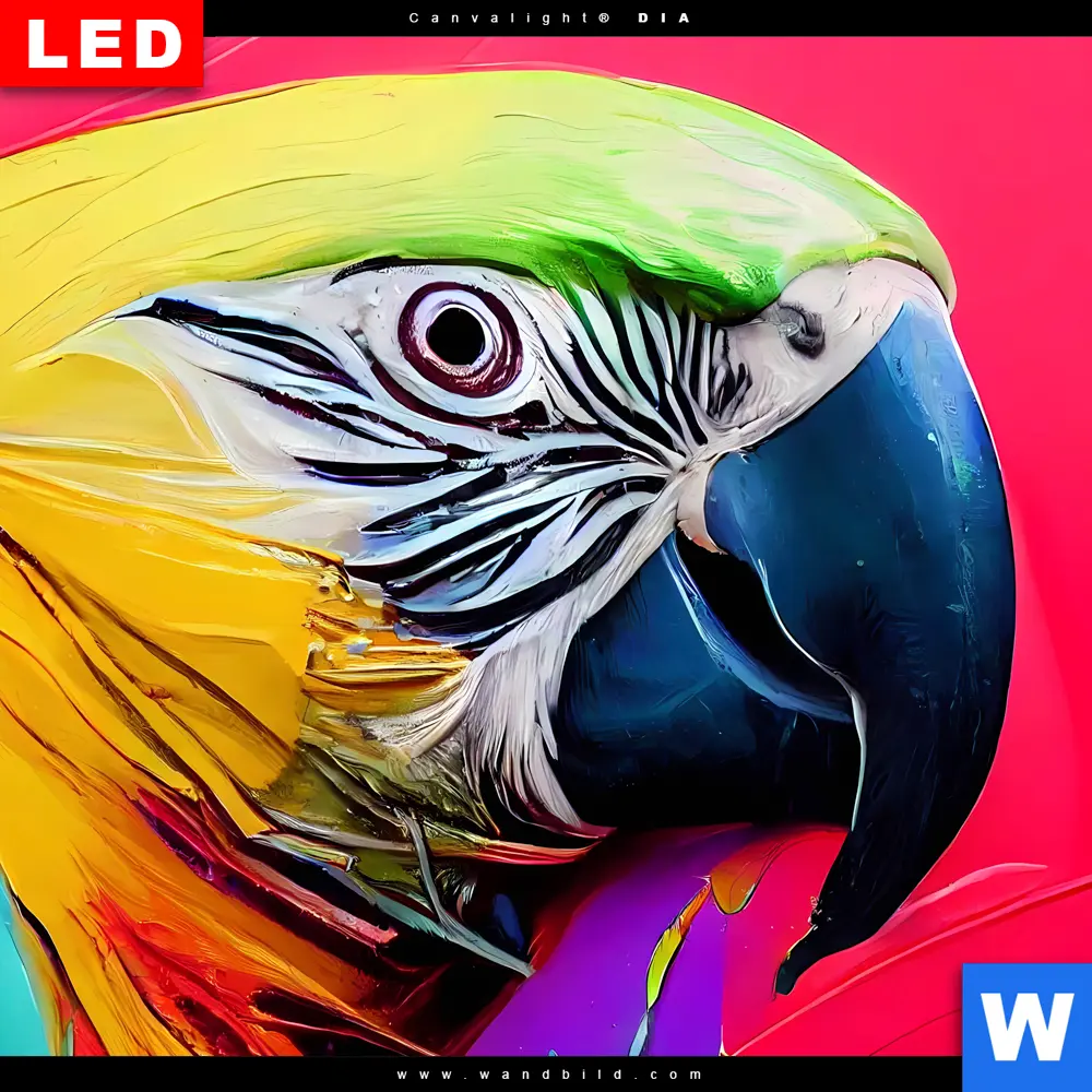 Wechselmotiv Acrylglas Canvalight® DIA | Federn Papagei | Quadrat - Image 4