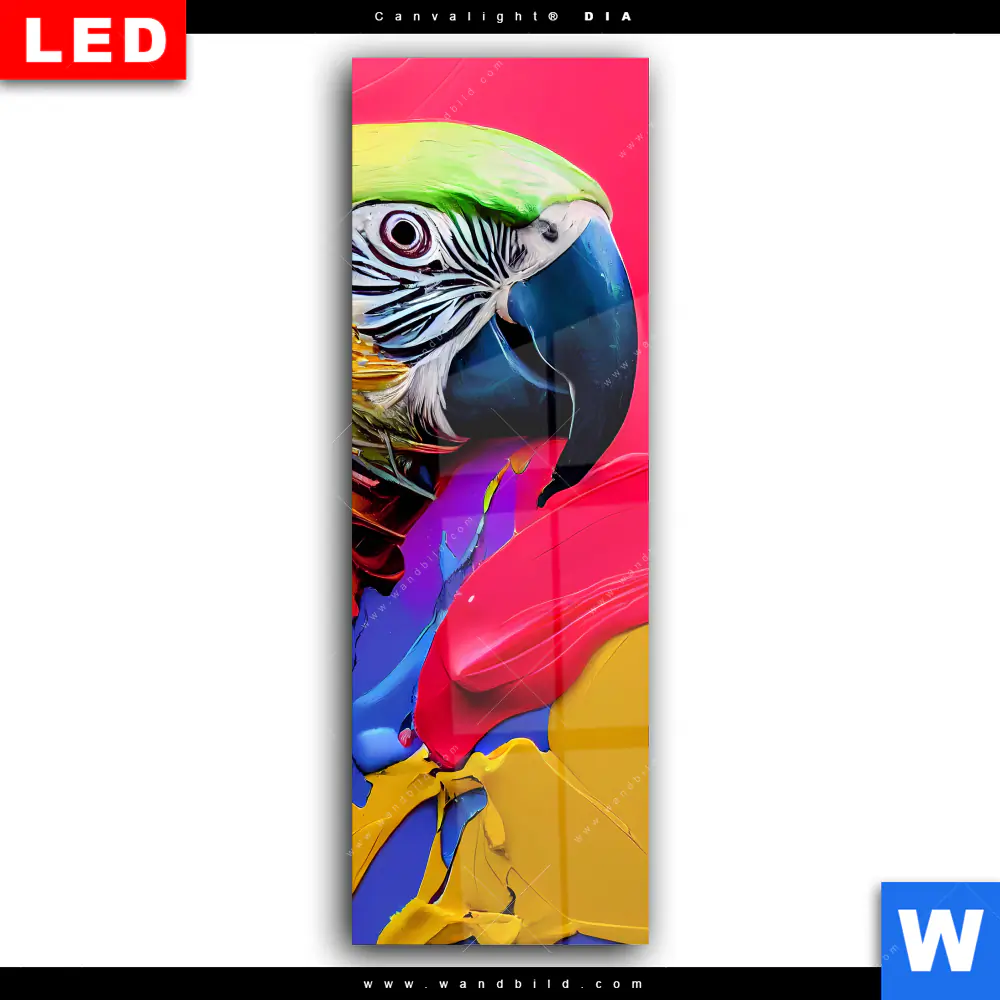 Wechselmotiv Acrylglas Canvalight® DIA | Federn Papagei | Schmal - Image 2