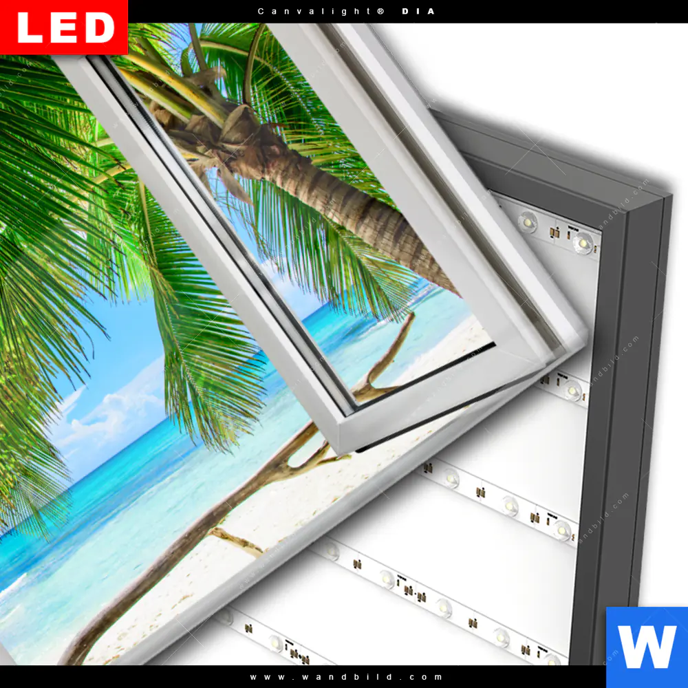 Wechselmotiv Acrylglas Canvalight® DIA | Fensterblick Karibik Palme | Querformat - Image 3