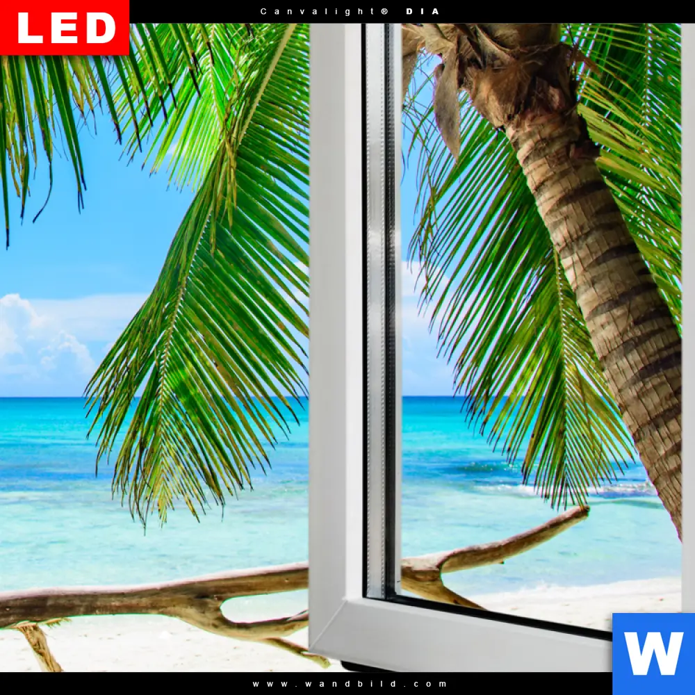 Wechselmotiv Acrylglas Canvalight® DIA | Fensterblick Karibik Palme | Querformat - Image 4