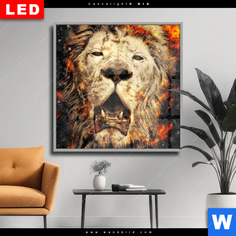 Wechselmotiv Acrylglas Canvalight® DIA | Feuer Löwe | Quadrat