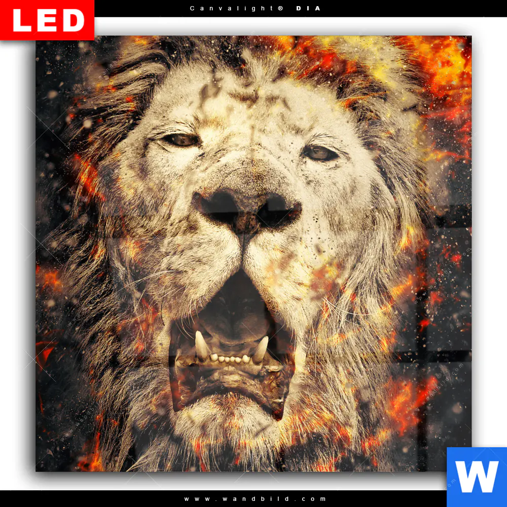 Wechselmotiv Acrylglas Canvalight® DIA | Feuer Löwe | Quadrat - Image 2