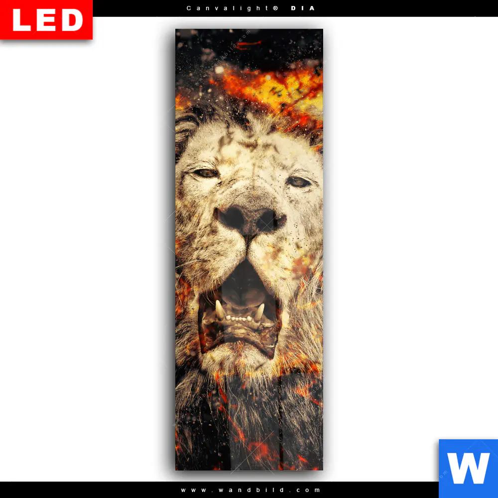 Wechselmotiv Acrylglas Canvalight® DIA | Feuer Löwe | Schmal - Image 2