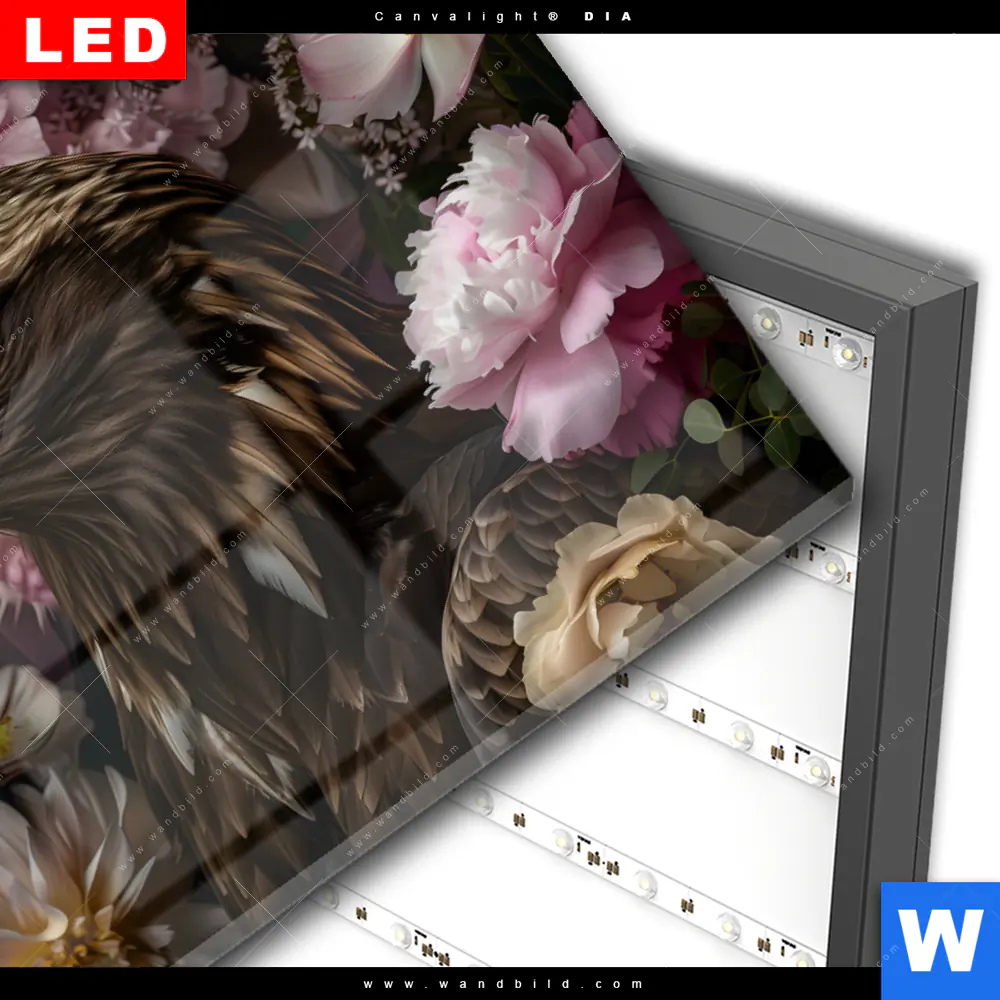 Wechselmotiv Acrylglas Canvalight® DIA | Florale Eleganz und Adlerblick | Querformat - Image 3