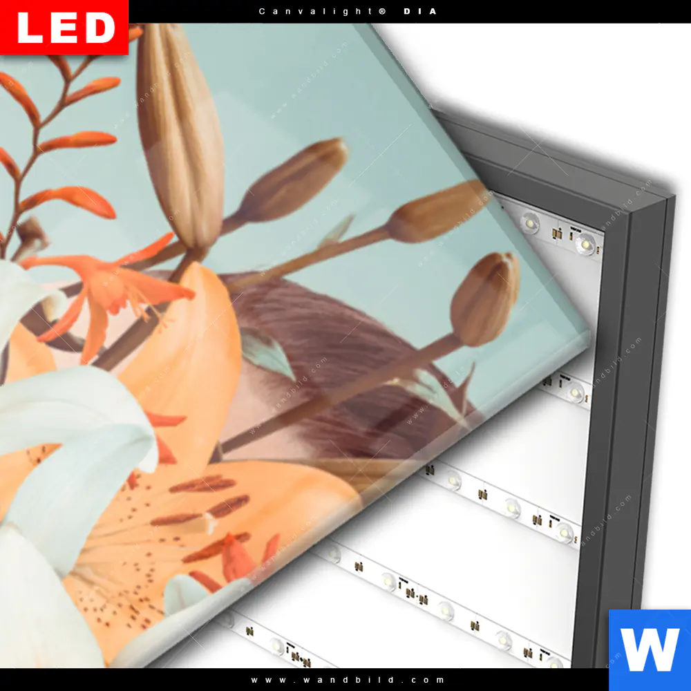 Wechselmotiv Acrylglas Canvalight® DIA | Florales Frauenporträt - Viola | Schmal - Image 3