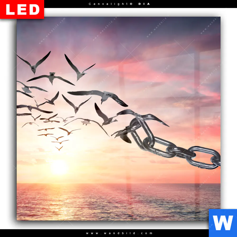 Wechselmotiv Acrylglas Canvalight® DIA | Flügel der Freiheit | Quadrat - Image 2