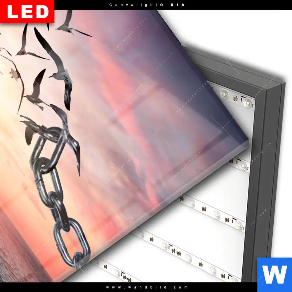 Wechselmotiv Acrylglas Canvalight® DIA | Flügel der Freiheit | Quadrat - Image 3