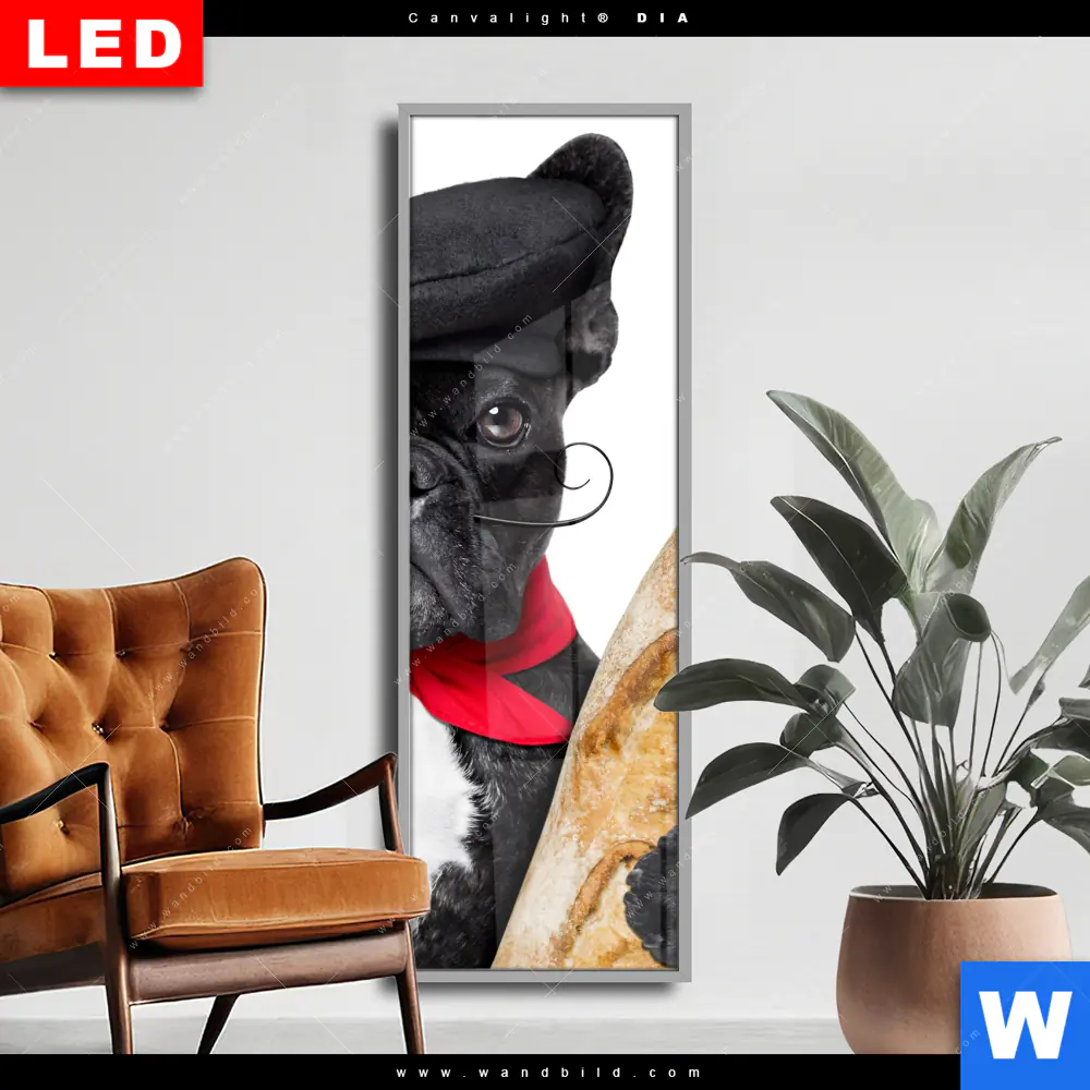 Wechselmotiv Acrylglas Canvalight® DIA | Französischer Bulldoggen-Charme mit Baguette & Wein | Schmal
