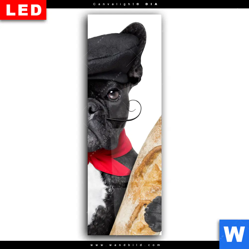 Wechselmotiv Acrylglas Canvalight® DIA | Französischer Bulldoggen-Charme mit Baguette & Wein | Schmal - Image 2