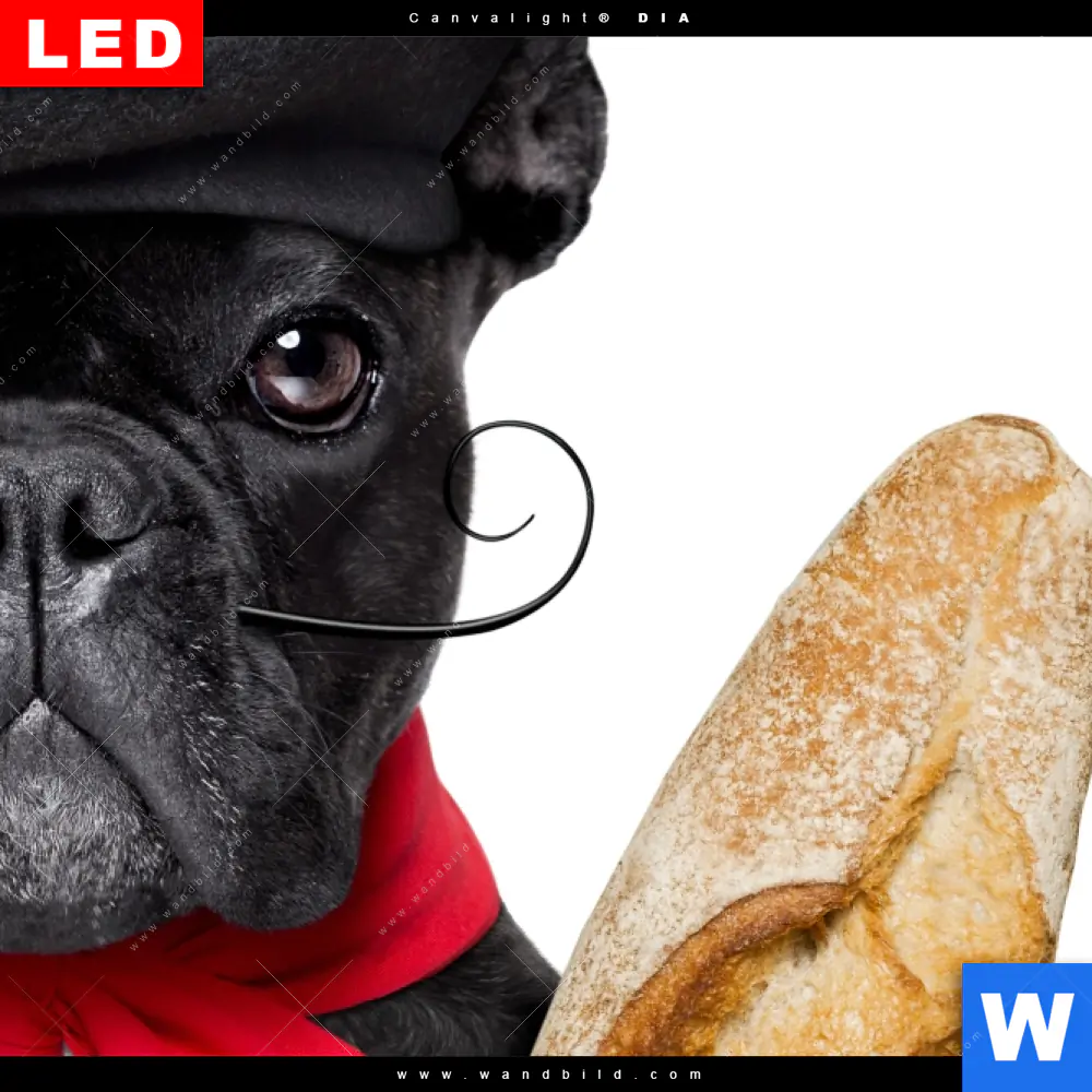Wechselmotiv Acrylglas Canvalight® DIA | Französischer Bulldoggen-Charme mit Baguette & Wein | Schmal - Image 4