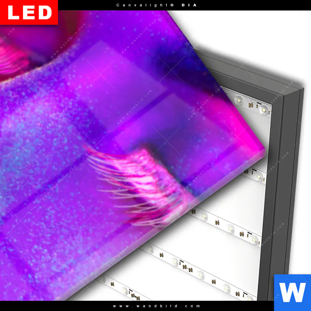 Wechselmotiv Acrylglas Canvalight® DIA | Frau im Neonlicht | Schmal - Image 3