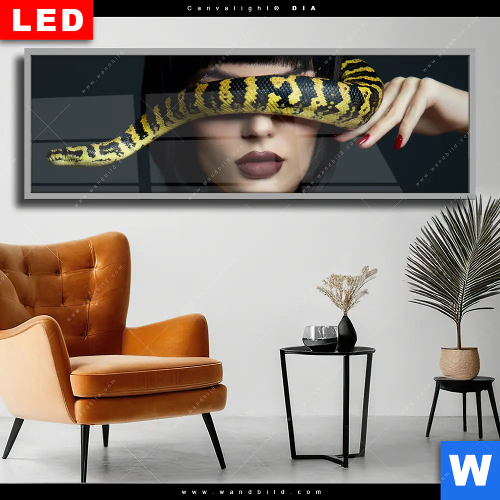 Wechselmotiv Acrylglas Canvalight® DIA | Frau mit gelber Schlange | Panorama