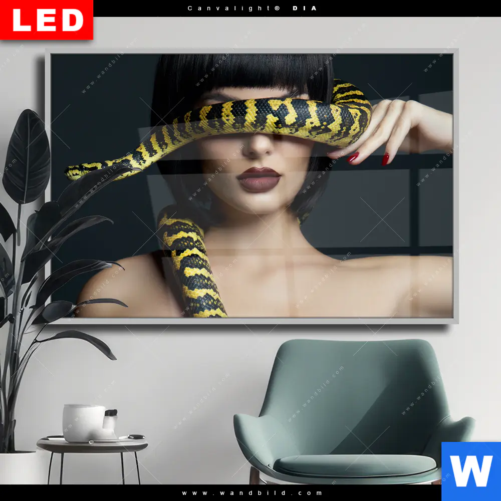 Wechselmotiv Acrylglas Canvalight® DIA | Frau mit gelber Schlange | Querformat