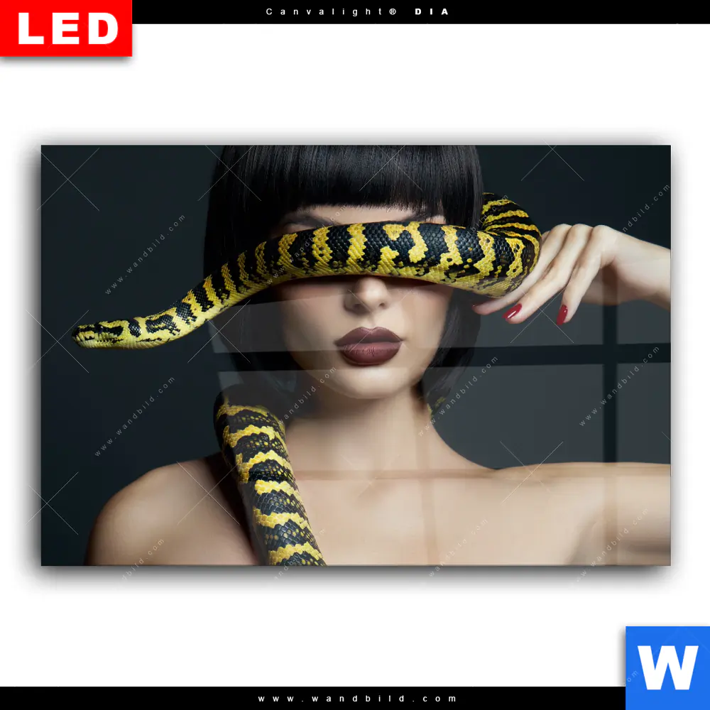 Wechselmotiv Acrylglas Canvalight® DIA | Frau mit gelber Schlange | Querformat - Image 2