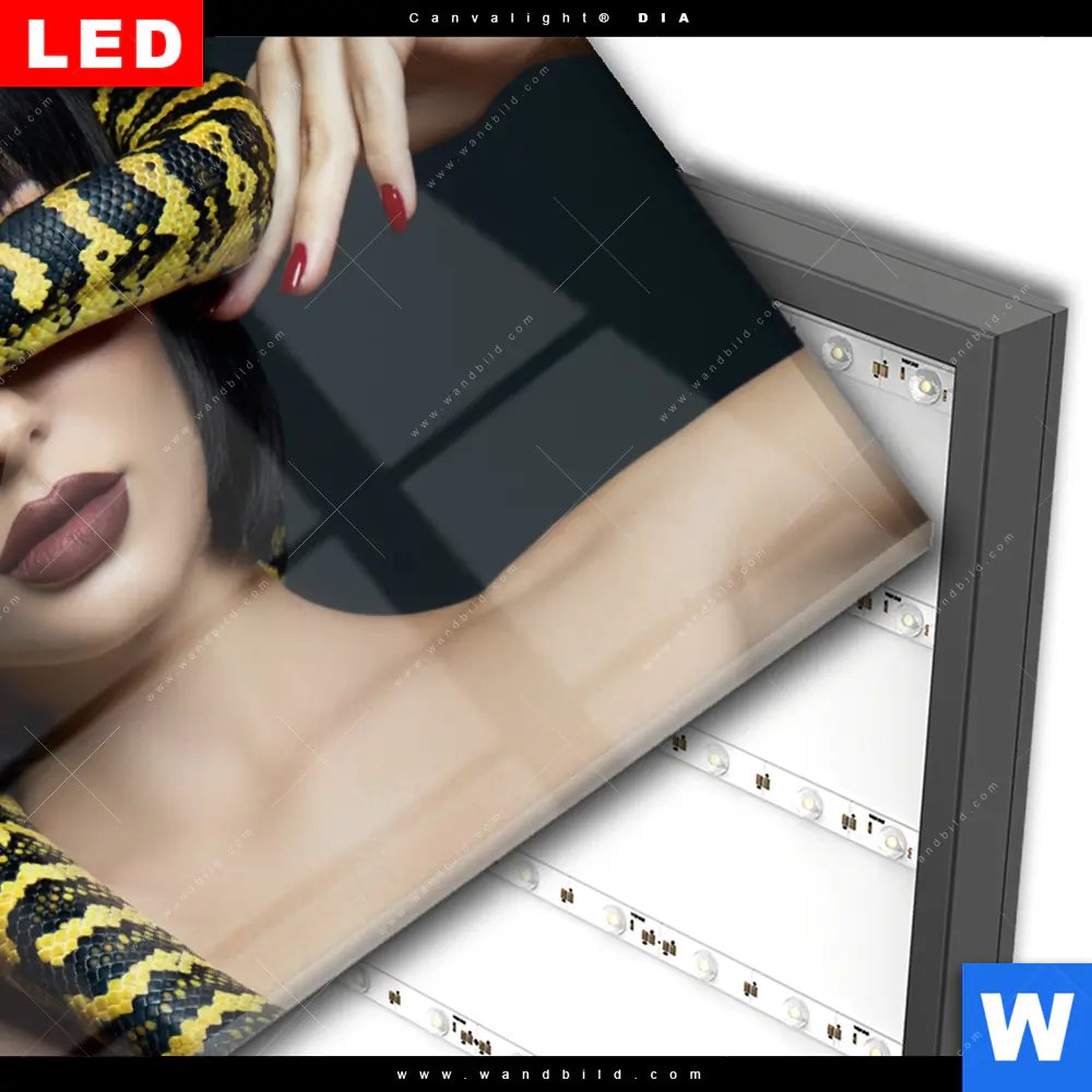 Wechselmotiv Acrylglas Canvalight® DIA | Frau mit gelber Schlange | Querformat - Image 3