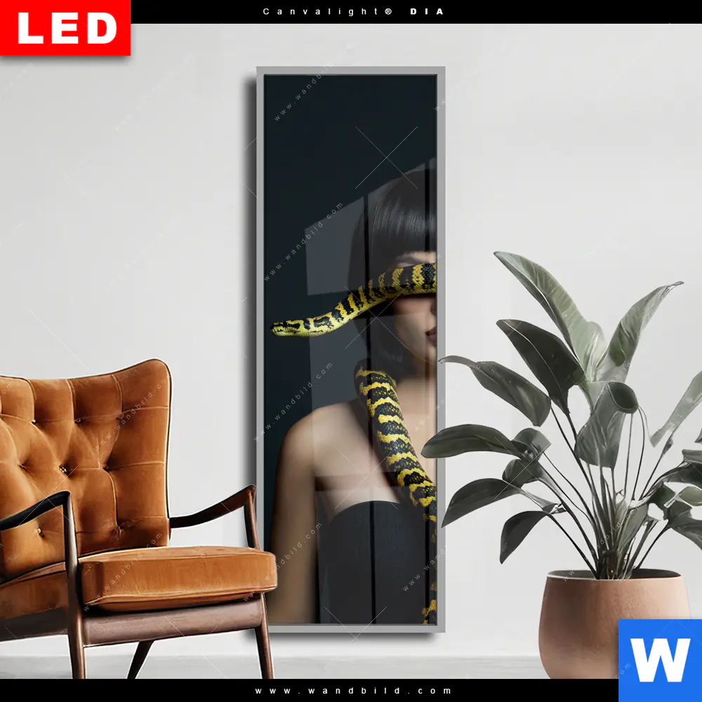 Wechselmotiv Acrylglas Canvalight® DIA | Frau mit gelber Schlange | Schmal