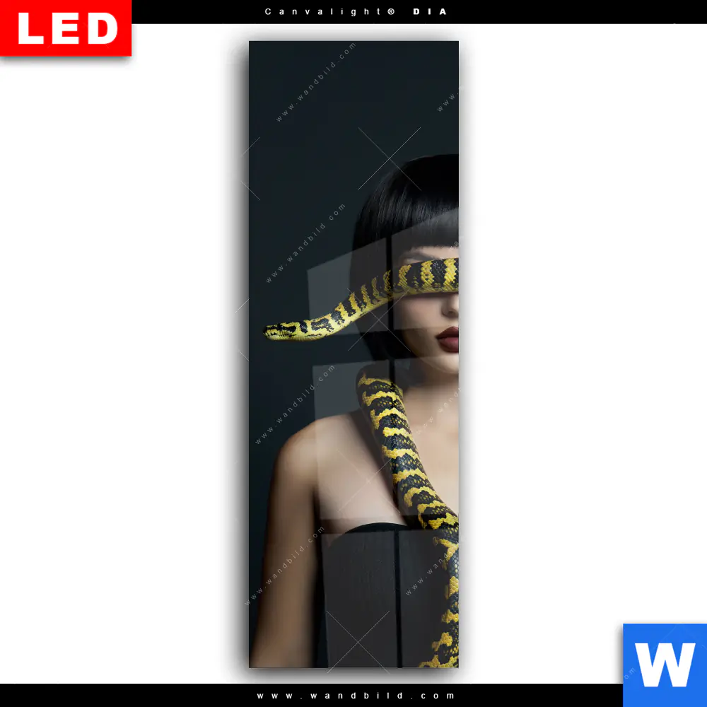 Wechselmotiv Acrylglas Canvalight® DIA | Frau mit gelber Schlange | Schmal - Image 2