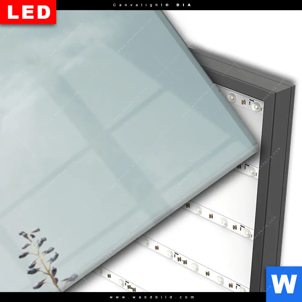 Wechselmotiv Acrylglas Canvalight® DIA | Frauenportrait mit Blumen | Panorama - Image 3
