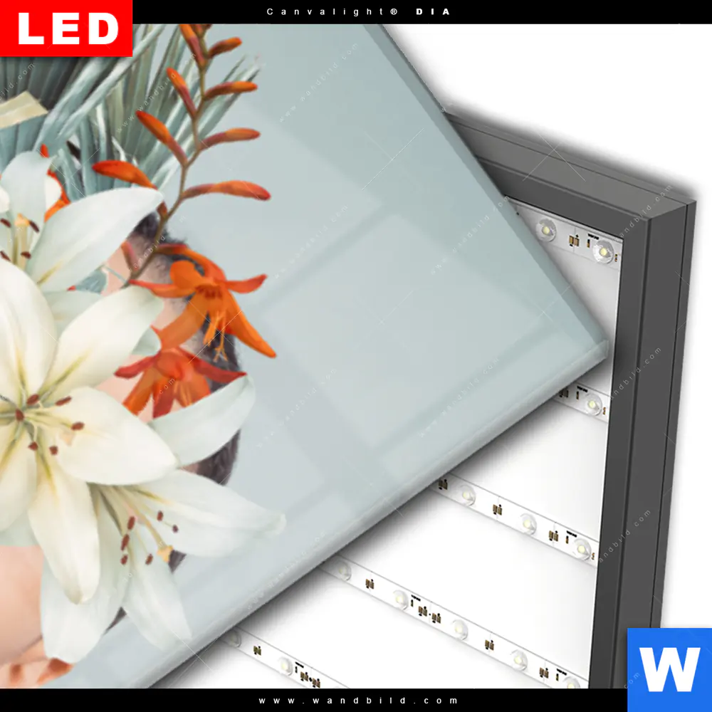 Wechselmotiv Acrylglas Canvalight® DIA | Frauenportrait mit Blumen | Schmal - Image 3