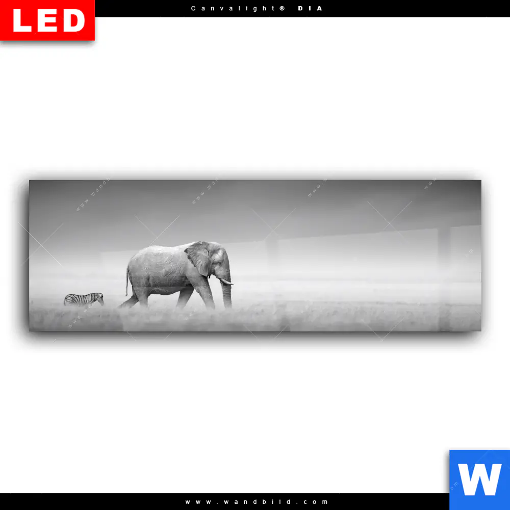 Wechselmotiv Acrylglas Canvalight® DIA | Freundschaft | Panorama - Image 2