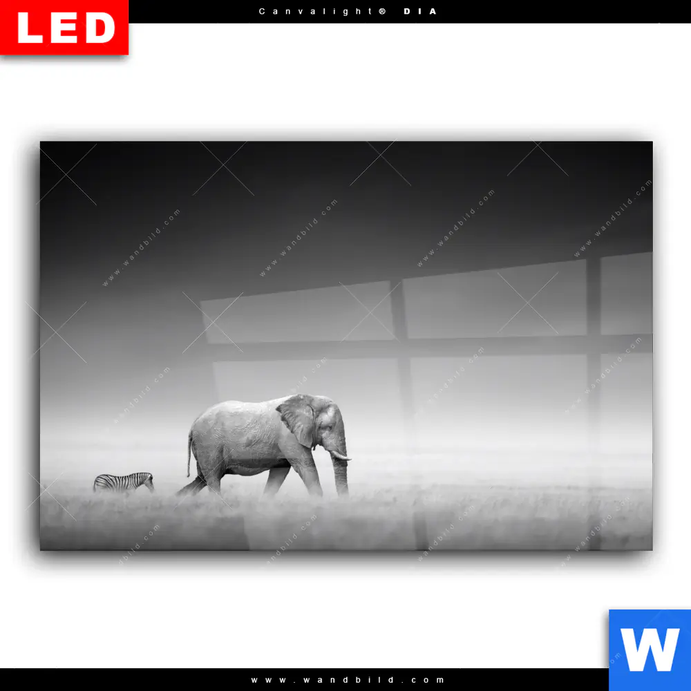 Wechselmotiv Acrylglas Canvalight® DIA | Freundschaft | Querformat - Image 2