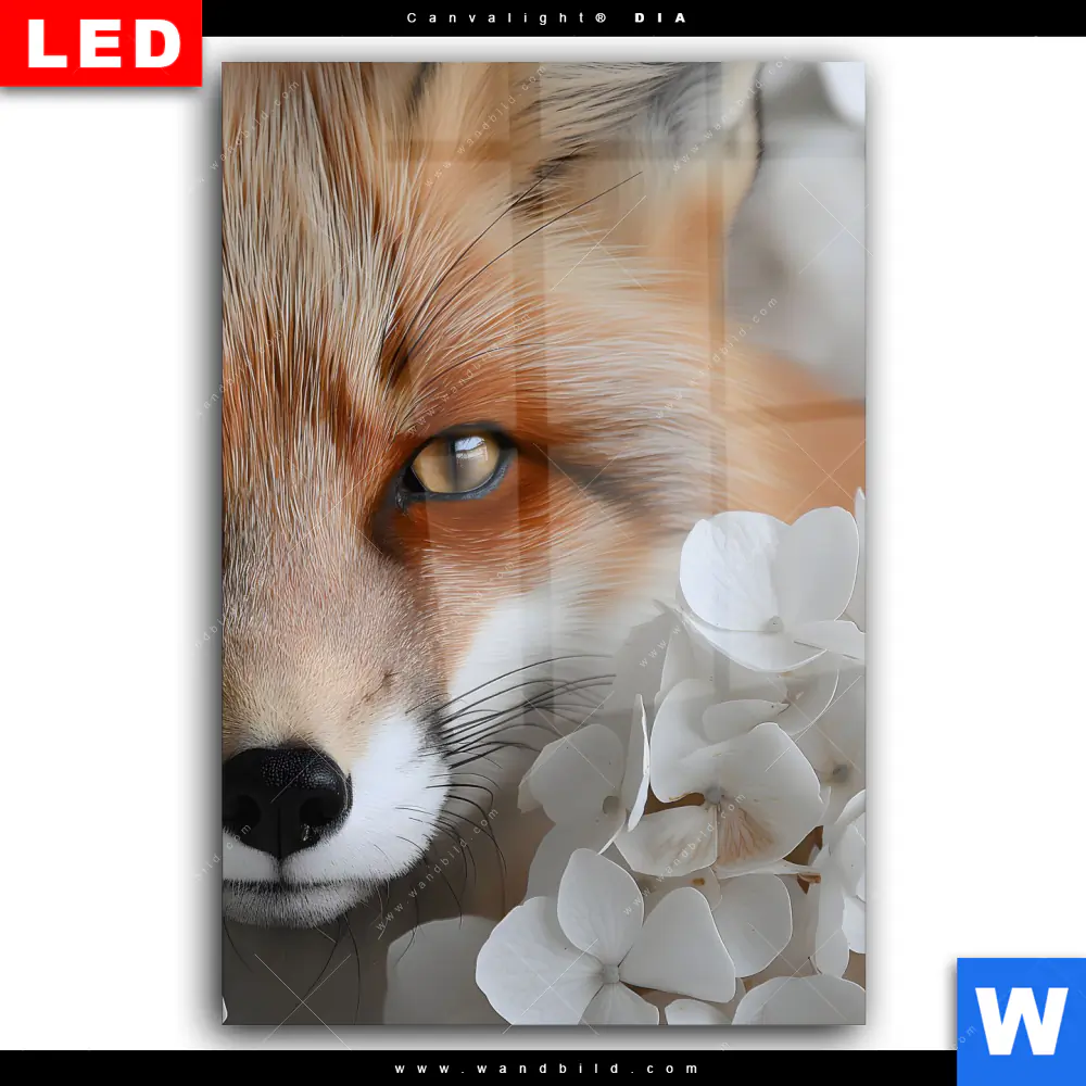 Wechselmotiv Acrylglas Canvalight® DIA | Friedlicher Fuchs und Blumen | Hochformat - Image 2