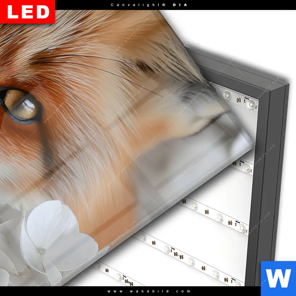 Wechselmotiv Acrylglas Canvalight® DIA | Friedlicher Fuchs und Blumen | Hochformat - Image 3