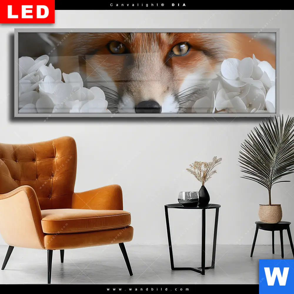 Wechselmotiv Acrylglas Canvalight® DIA | Friedlicher Fuchs und Blumen | Panorama