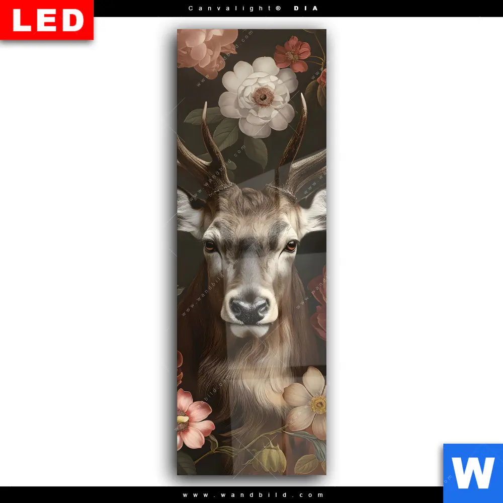 Wechselmotiv Acrylglas Canvalight® DIA | Friedlicher Hirsch und Blüten | Schmal - Image 2
