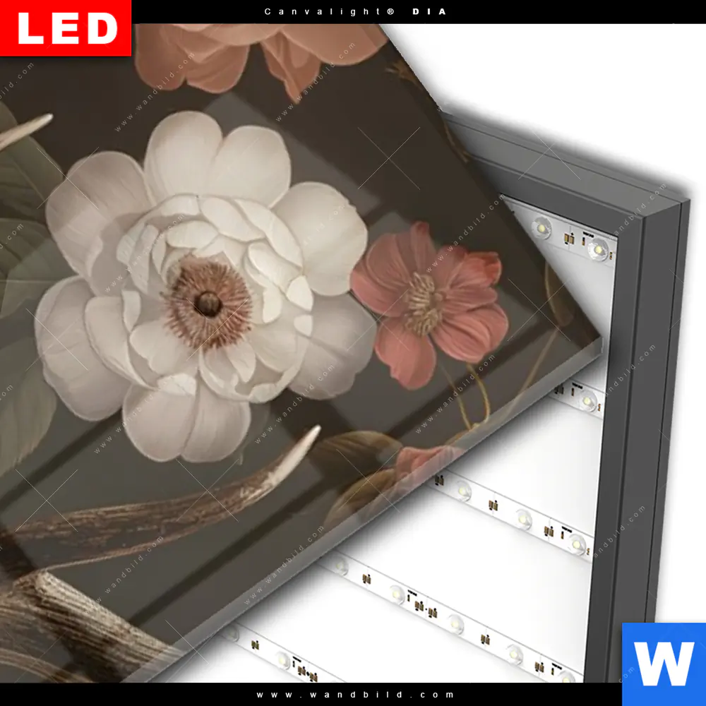 Wechselmotiv Acrylglas Canvalight® DIA | Friedlicher Hirsch und Blüten | Schmal - Image 3