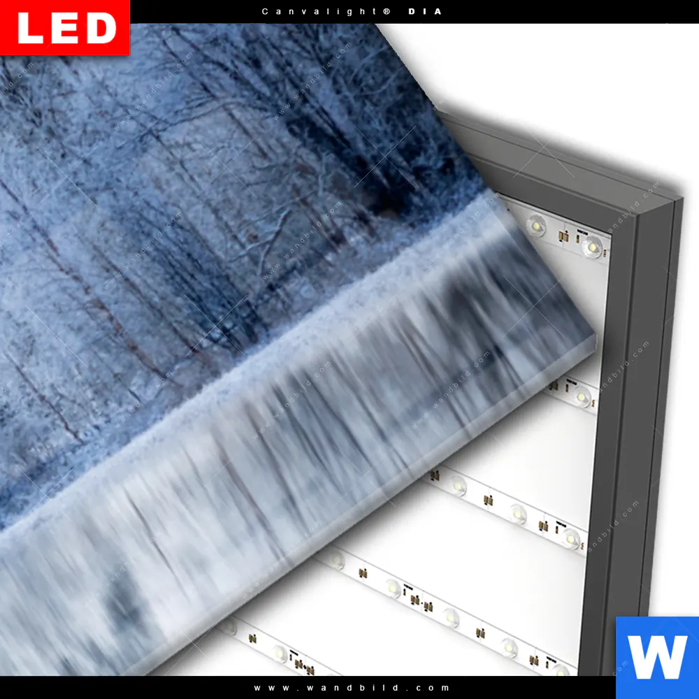 Wechselmotiv Acrylglas Canvalight® DIA | Frostiger Wald | Panorama - Image 3