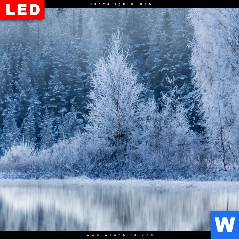 Wechselmotiv Acrylglas Canvalight® DIA | Frostiger Wald | Panorama - Image 4
