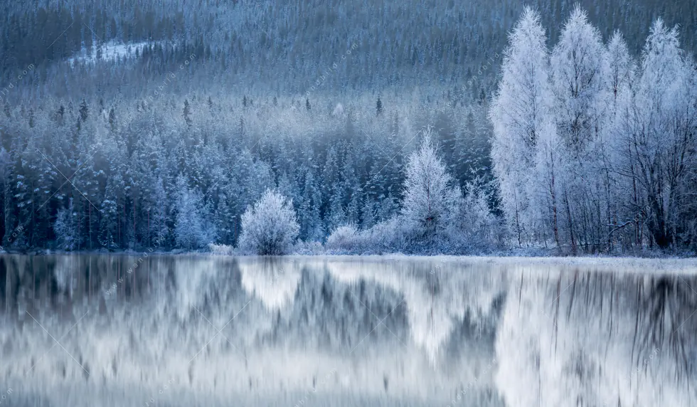 Wechselmotiv Acrylglas Canvalight® DIA | Frostiger Wald | Panorama - Image 5