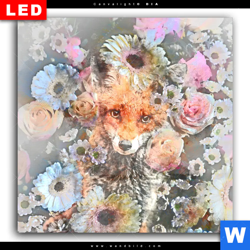 Wechselmotiv Acrylglas Canvalight® DIA | Fuchs & Blumen | Quadrat - Image 2
