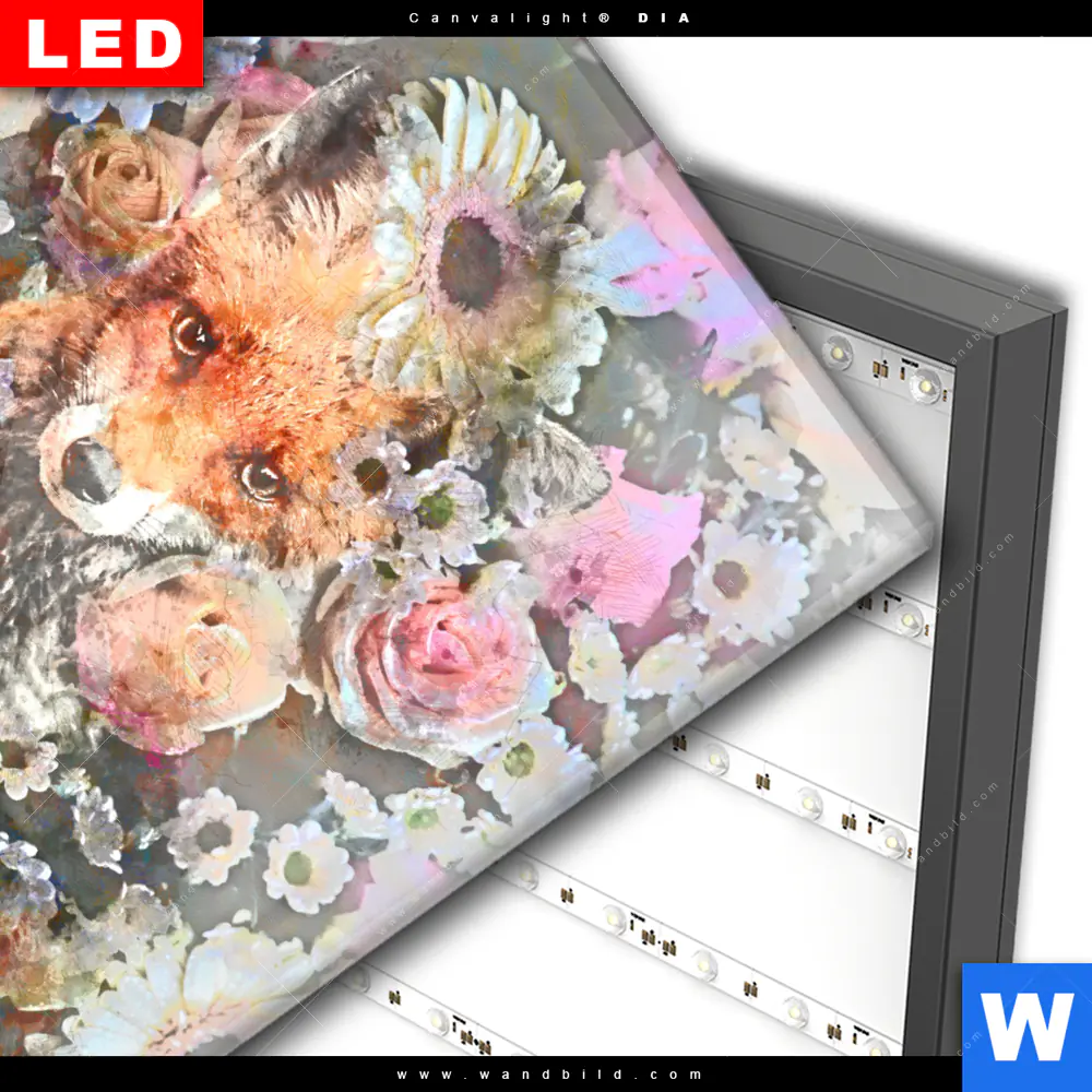 Wechselmotiv Acrylglas Canvalight® DIA | Fuchs & Blumen | Quadrat - Image 3