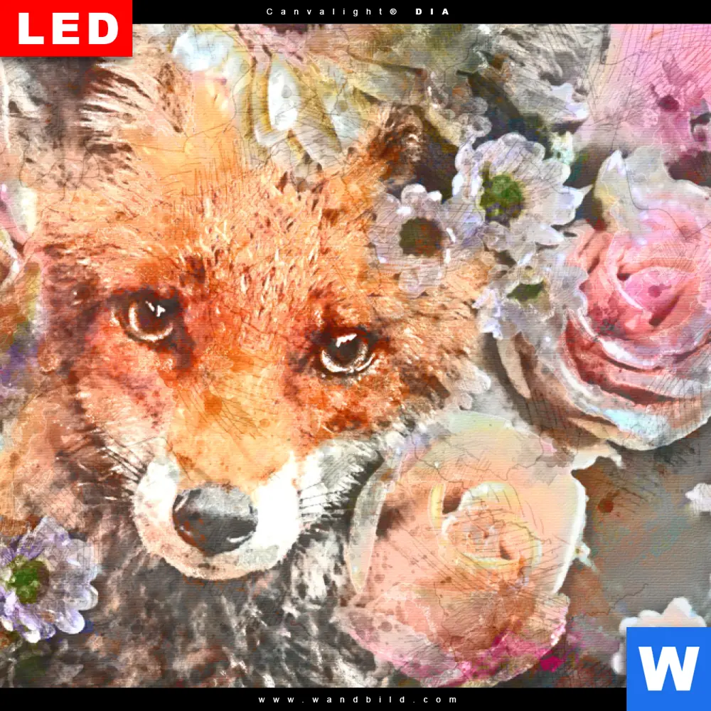 Wechselmotiv Acrylglas Canvalight® DIA | Fuchs & Blumen | Quadrat - Image 4